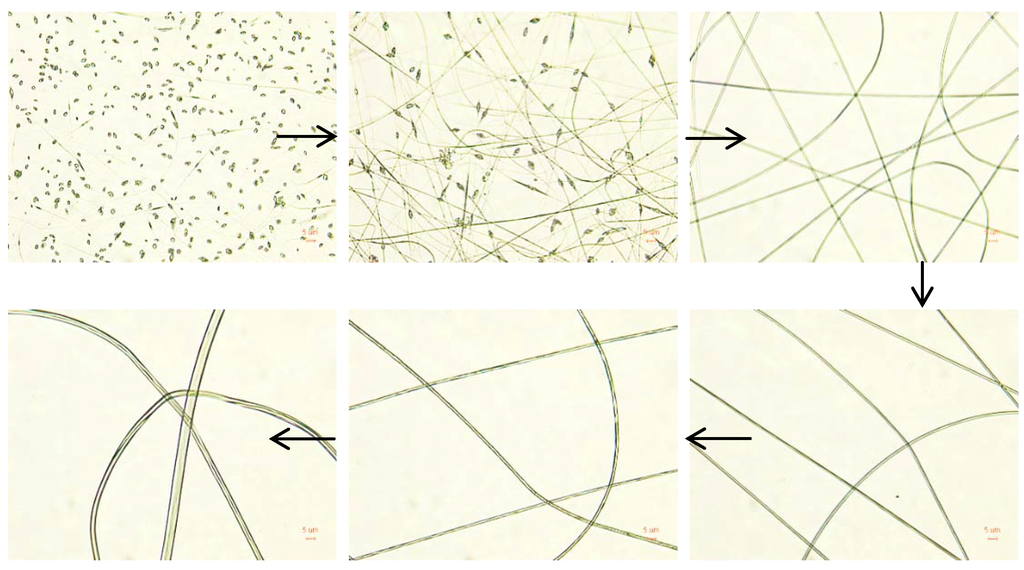 Fibers 02 00158 g006 1024