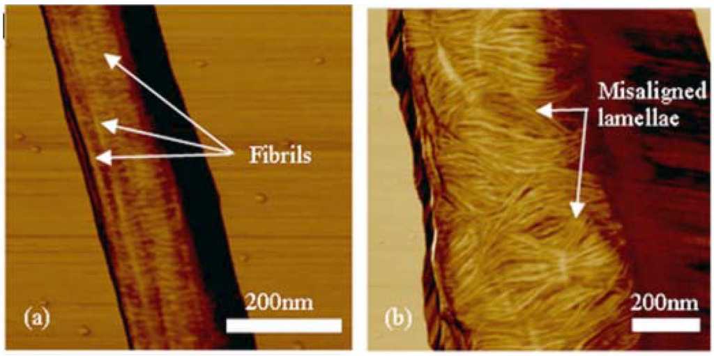 Fibers 02 00158 g012 1024