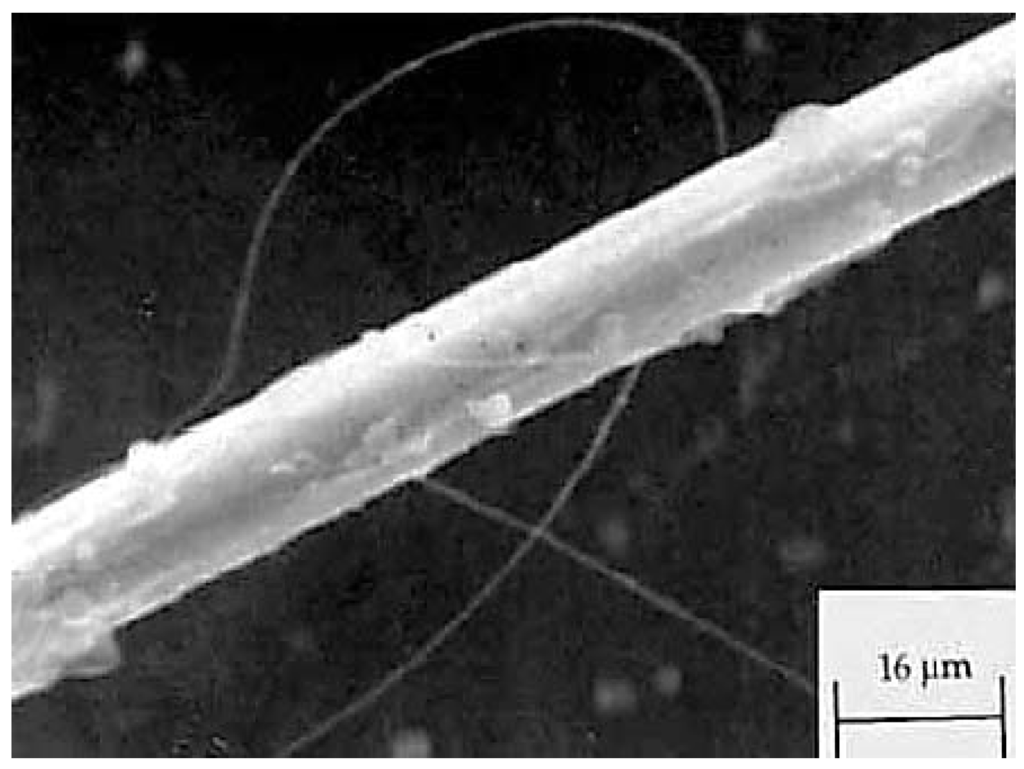 Fibers 02 00158 g015 1024