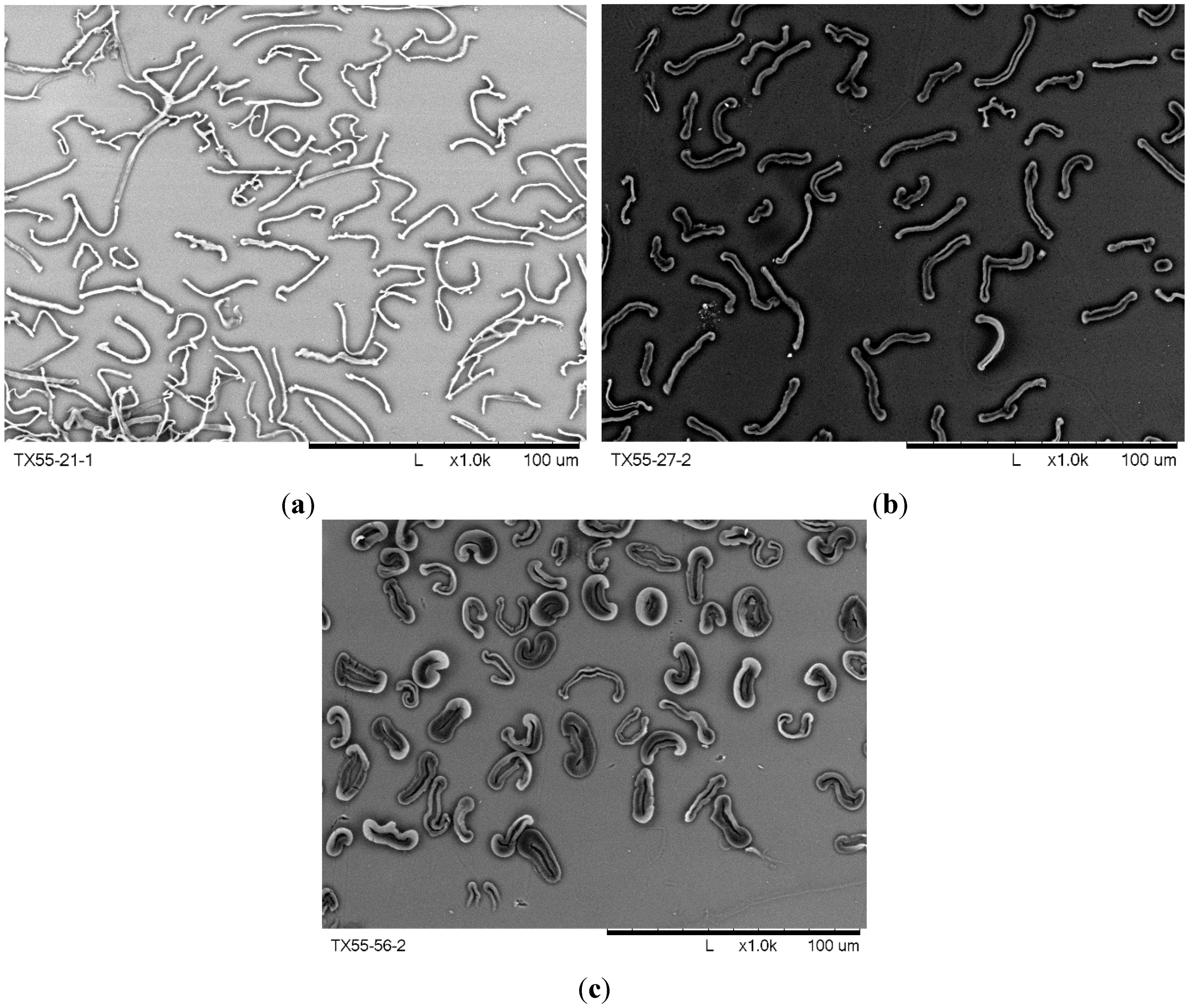Fibers 02 00285 g001