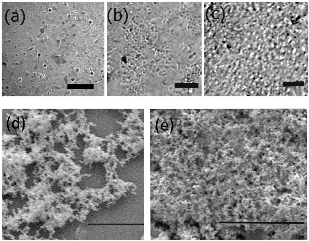 Fibers 03 00265 g007 1024