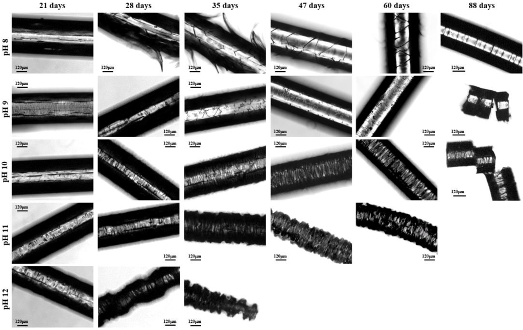 Fibers 03 00348 g011 1024