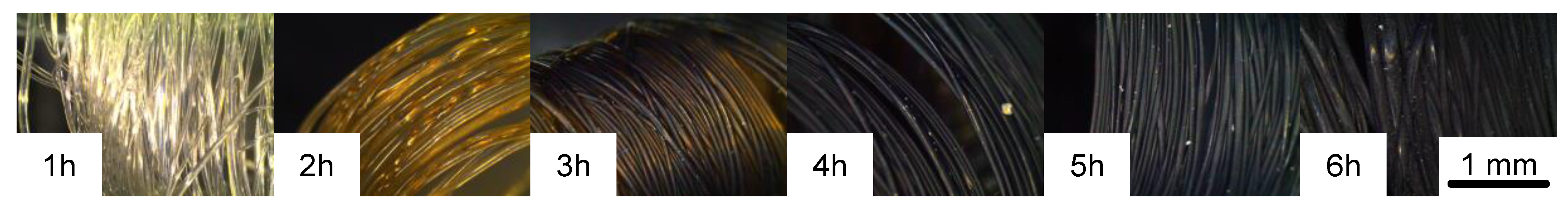 Fibers 03 00373 g002