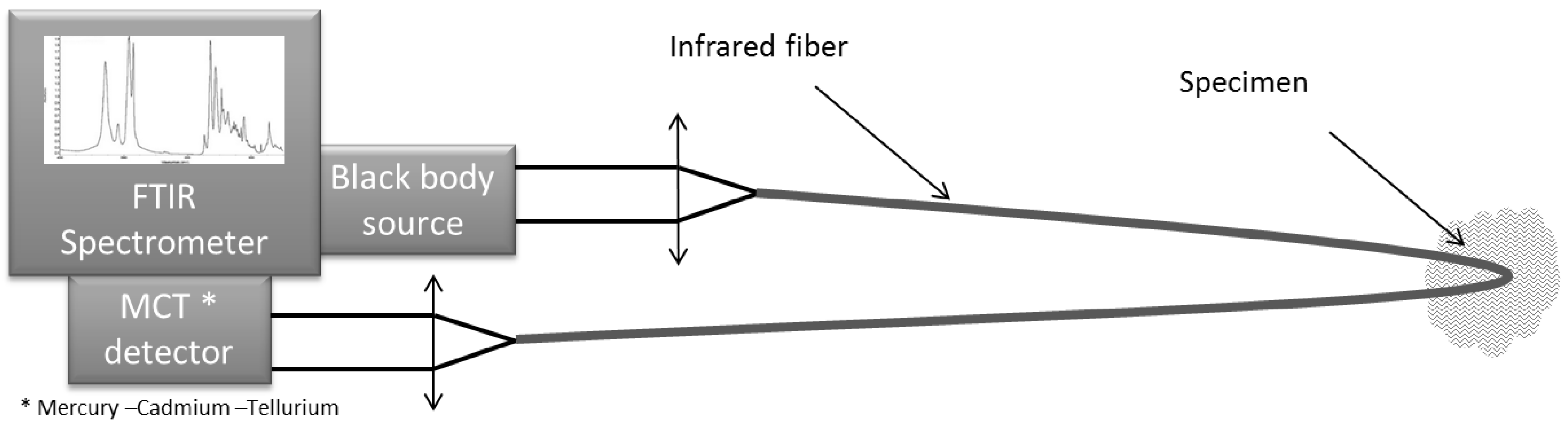 Fibers 05 00011 g008