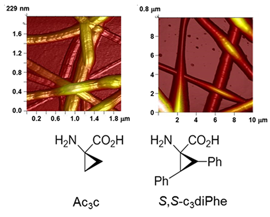 Fibers - Free Full-Text - Antimicrobial Electrospun Fibers of Polyester Loaded with Engineered Cyclic Gramicidin Analogues Antimicrobial Electrospun Fibers of Polyester Loaded with Engineered Cyclic Gramicidin Analogues - 웹