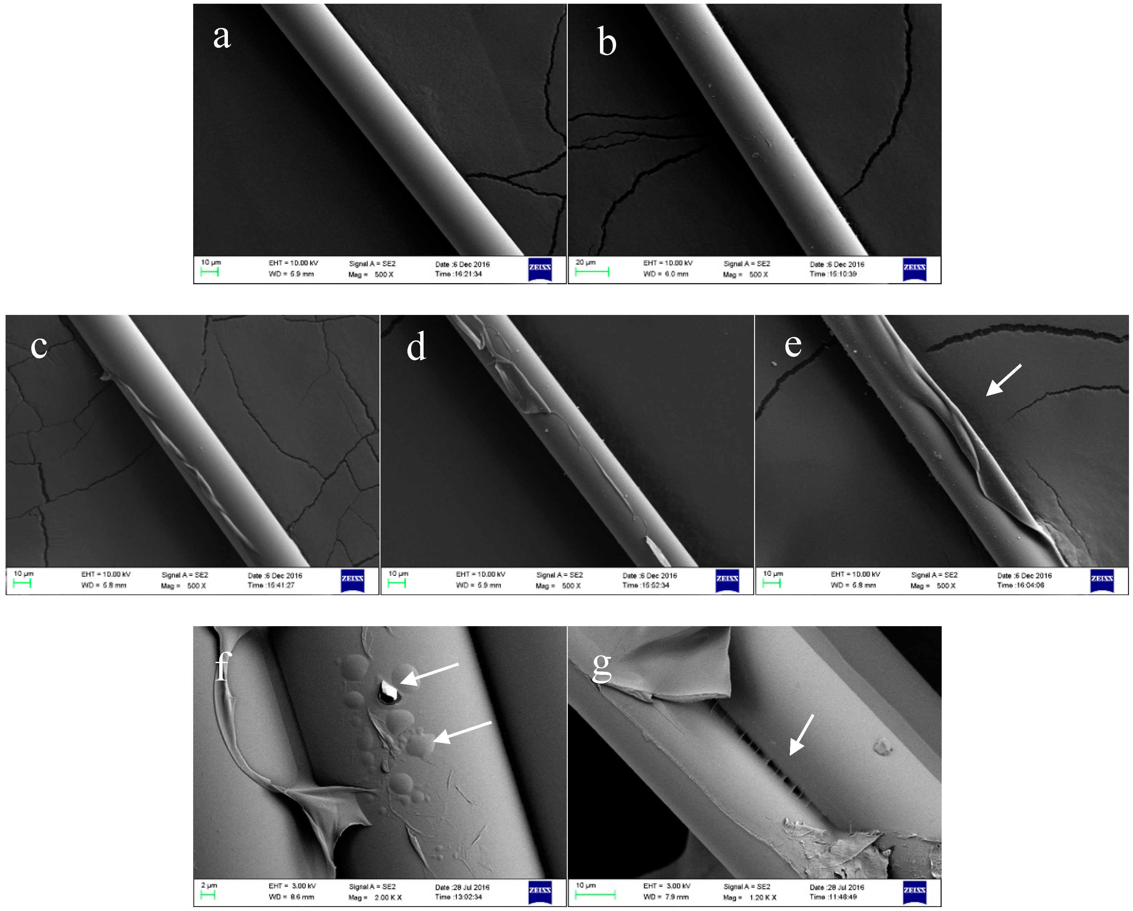 Fibers 06 00097 g003