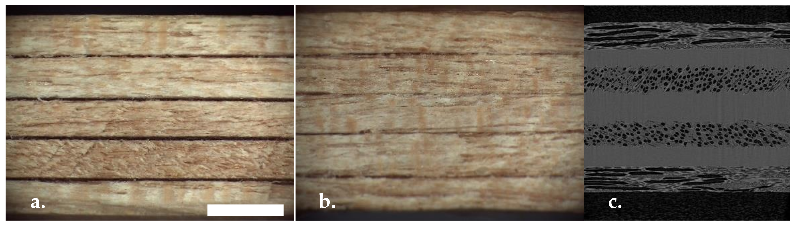 Fibers 10 00017 g001