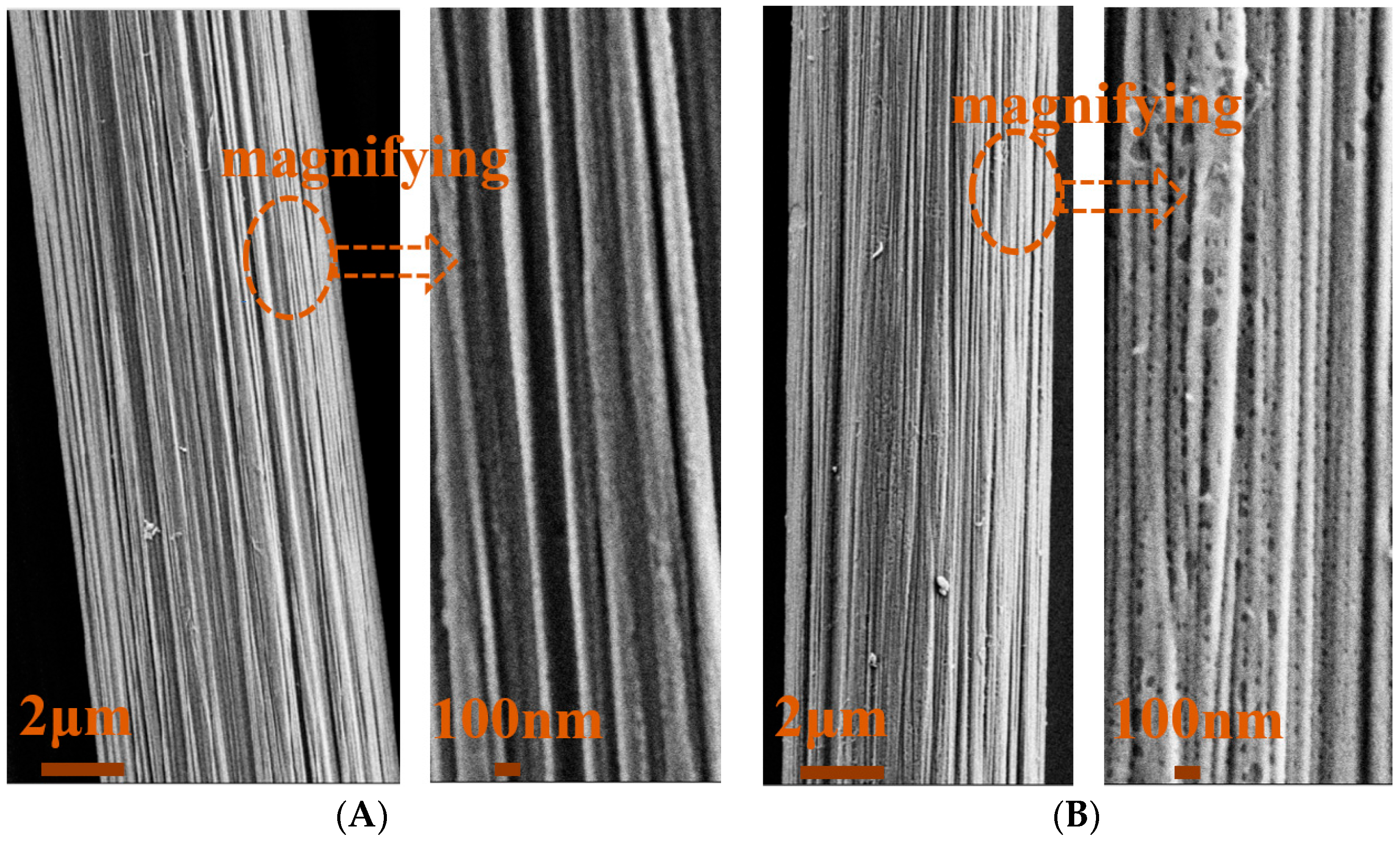 Fibers 12 00004 g001