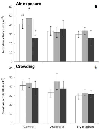fishes an open access journal from mdpi during bone growth which event is most significant at the surface indicated by the letter b