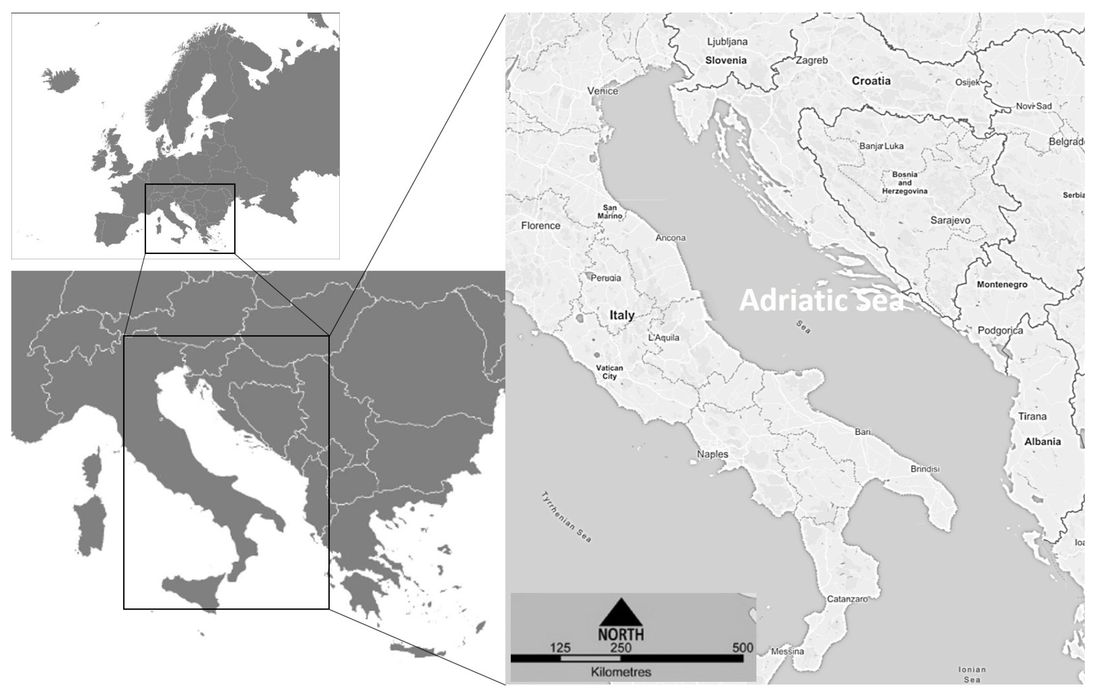 Fishes 09 00160 g001