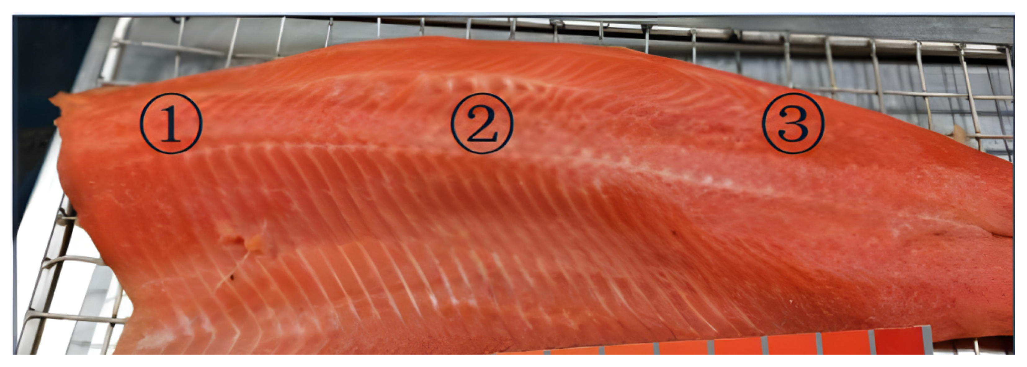 Fishes 09 00174 g001