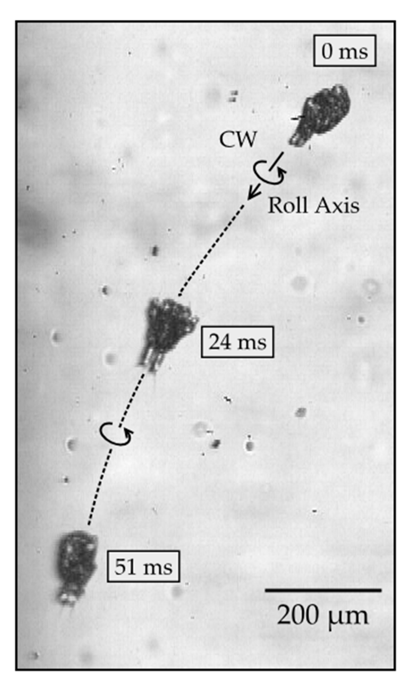 Fluids 05 00078 g005