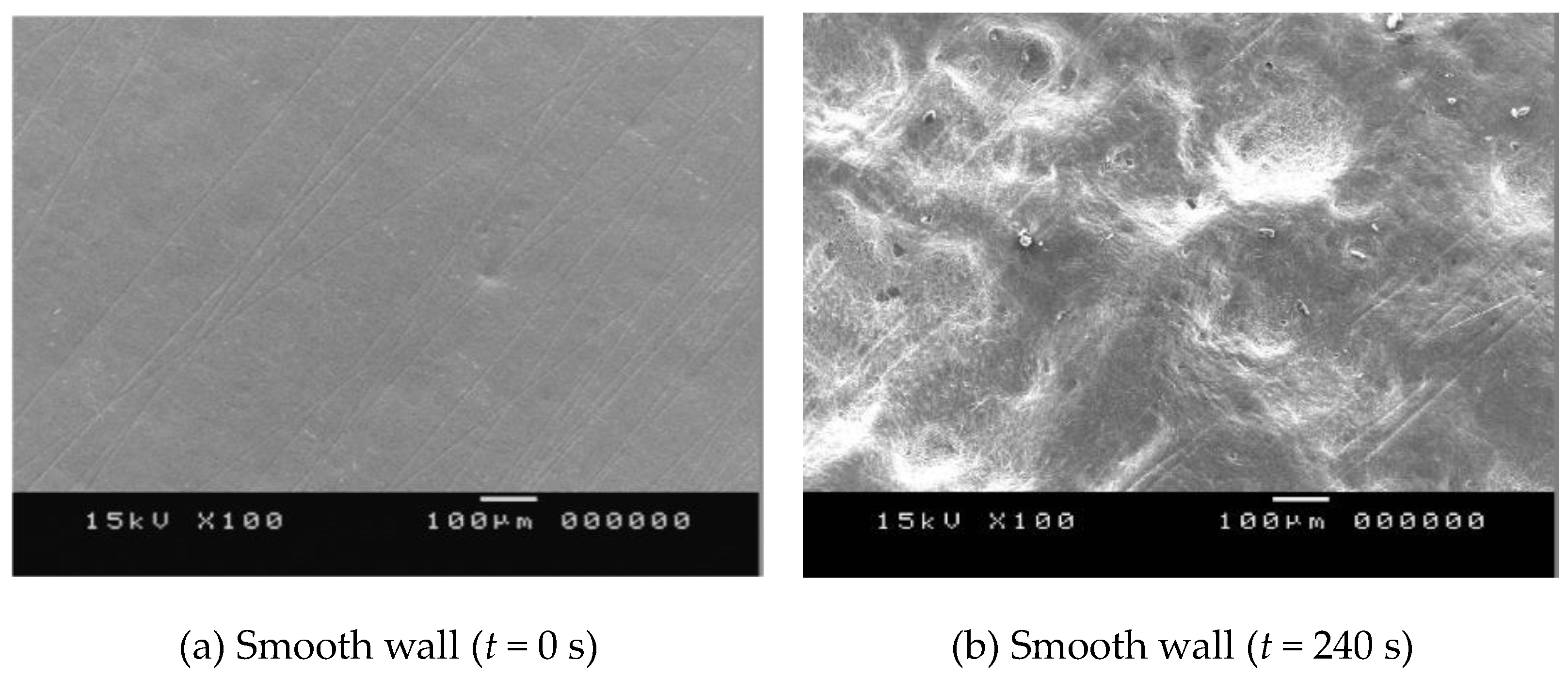 Fluids 06 00006 g006