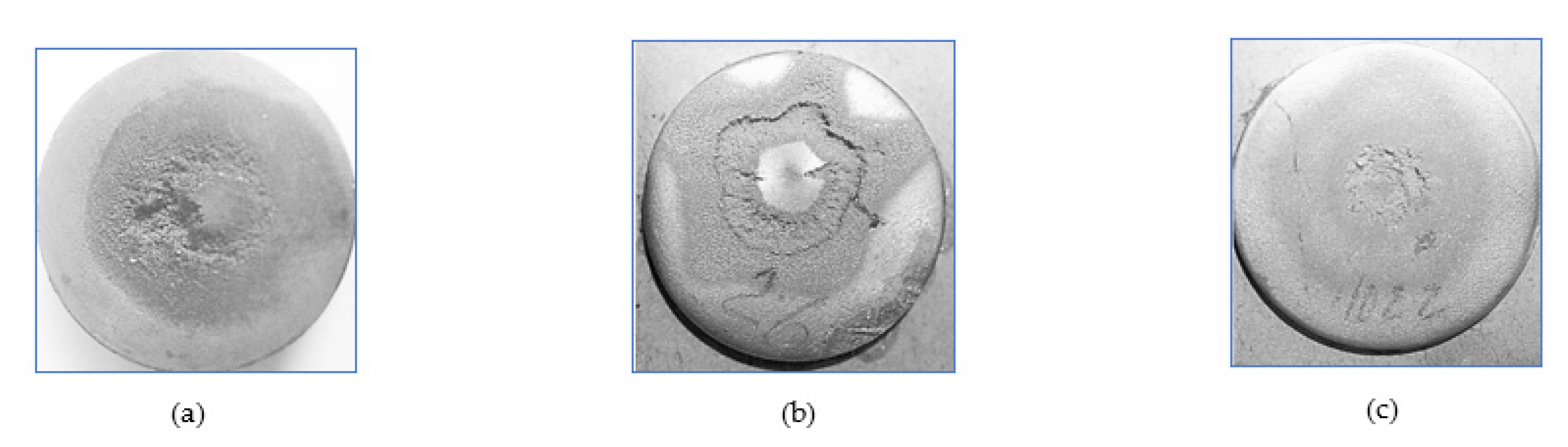 Fluids 06 00444 g010
