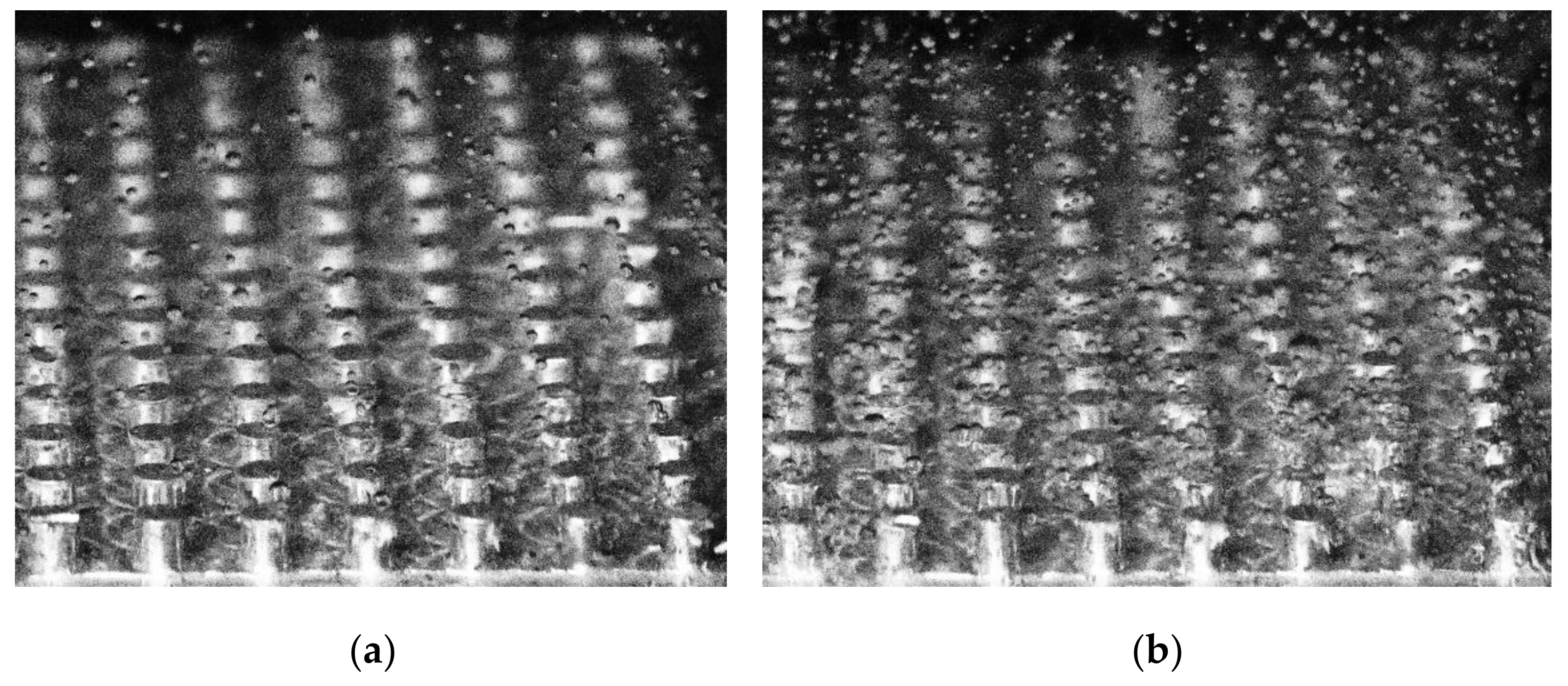 Fluids 07 00232 g010