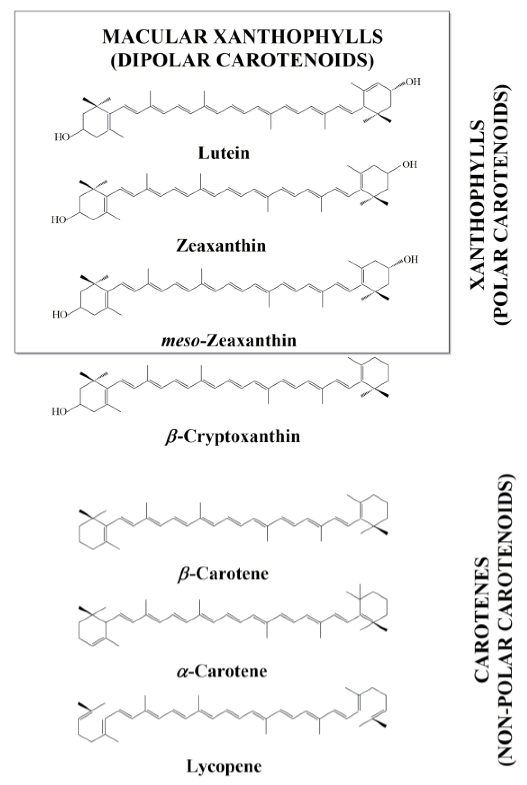 research paper free online quilling