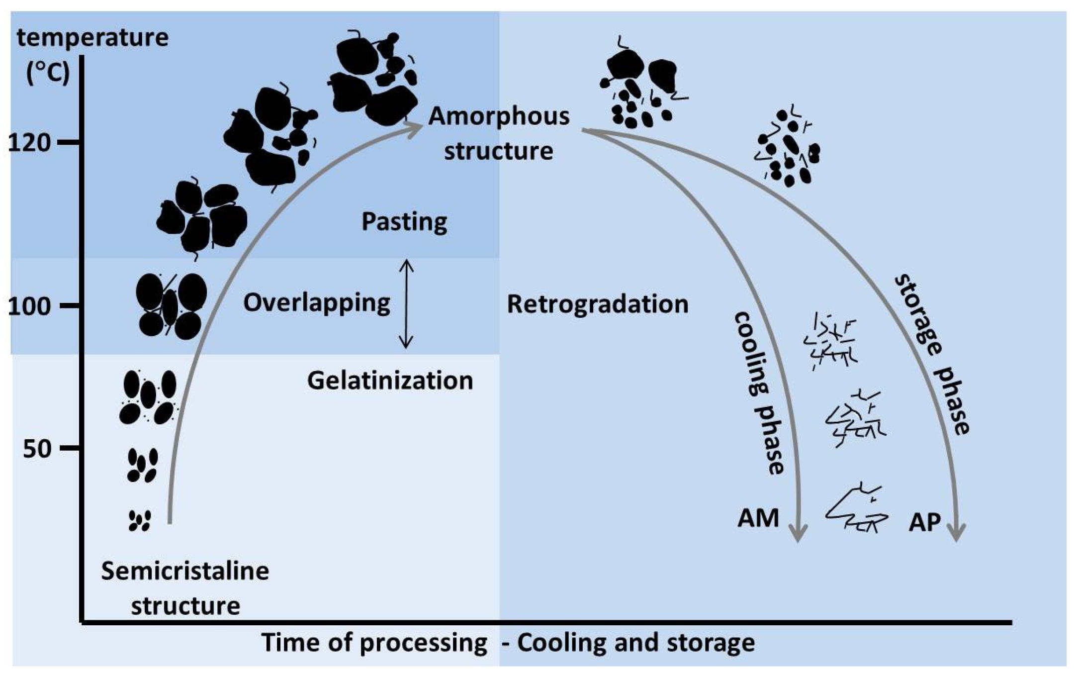 view fifty years of cytochrome p450