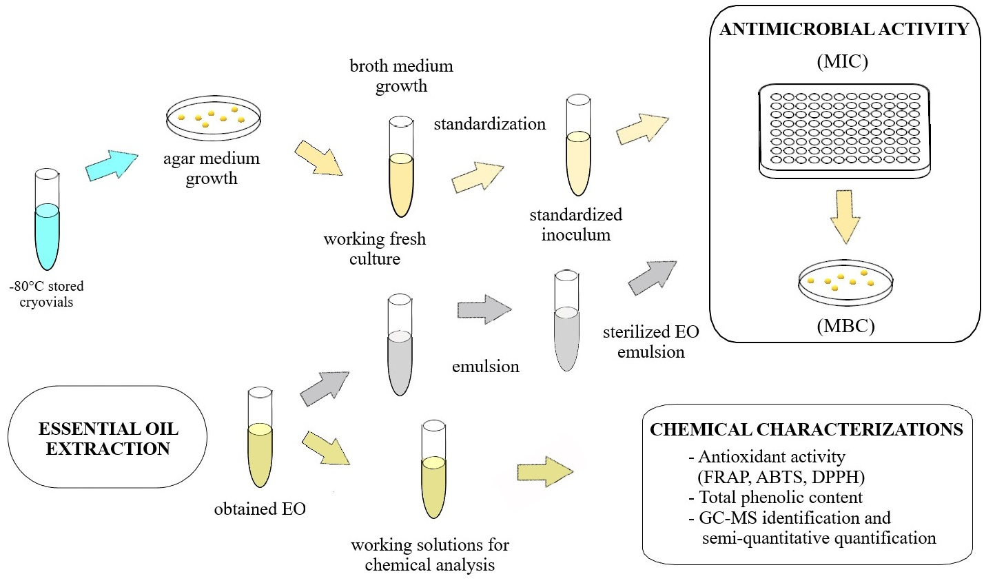 Abbreviation For Critical Reviews In Food Science And Nutrition Abbreviation For Critical Reviews In Food Science And Nutrition