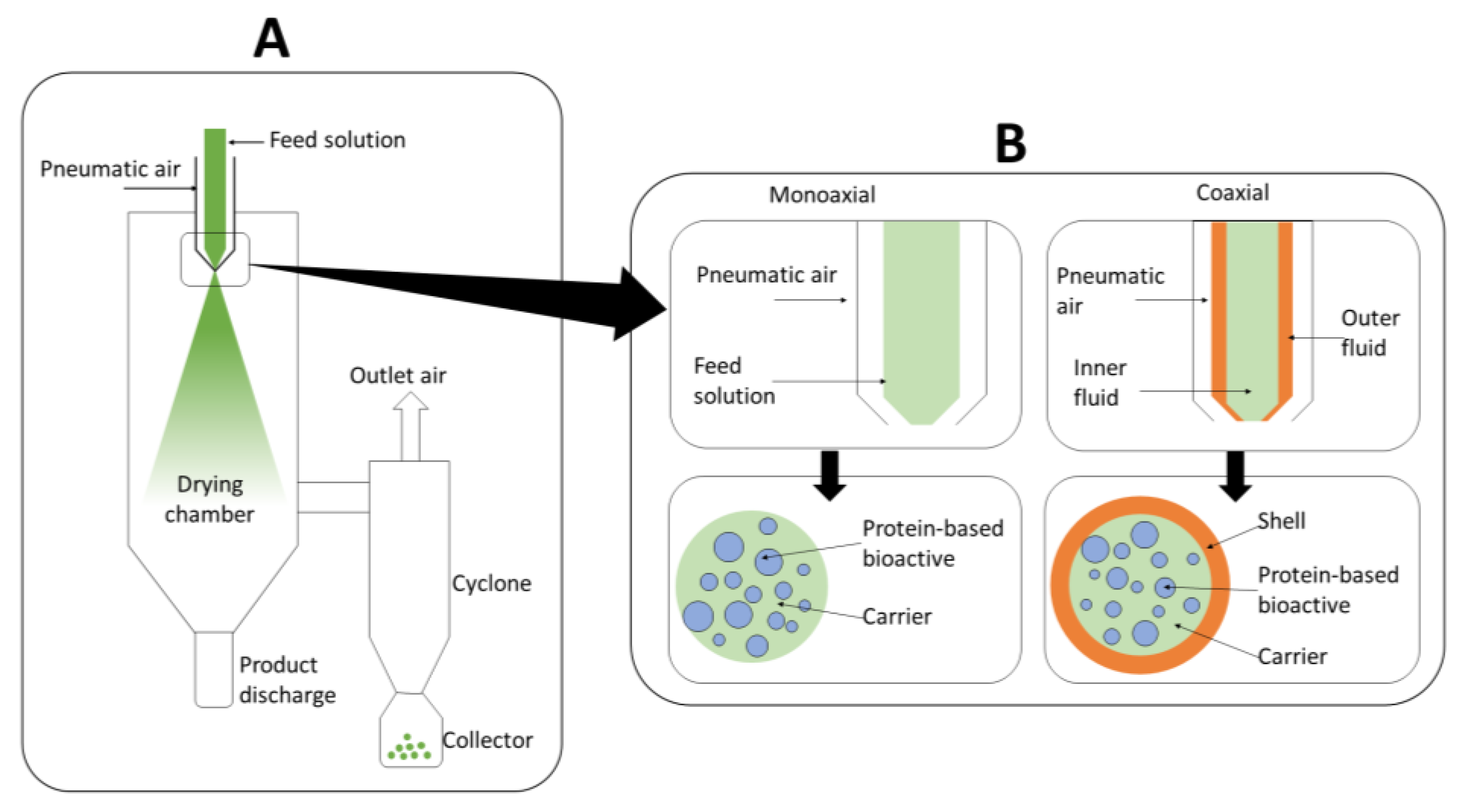 Foods 12 02005 g002 Foods 12 02005 g002