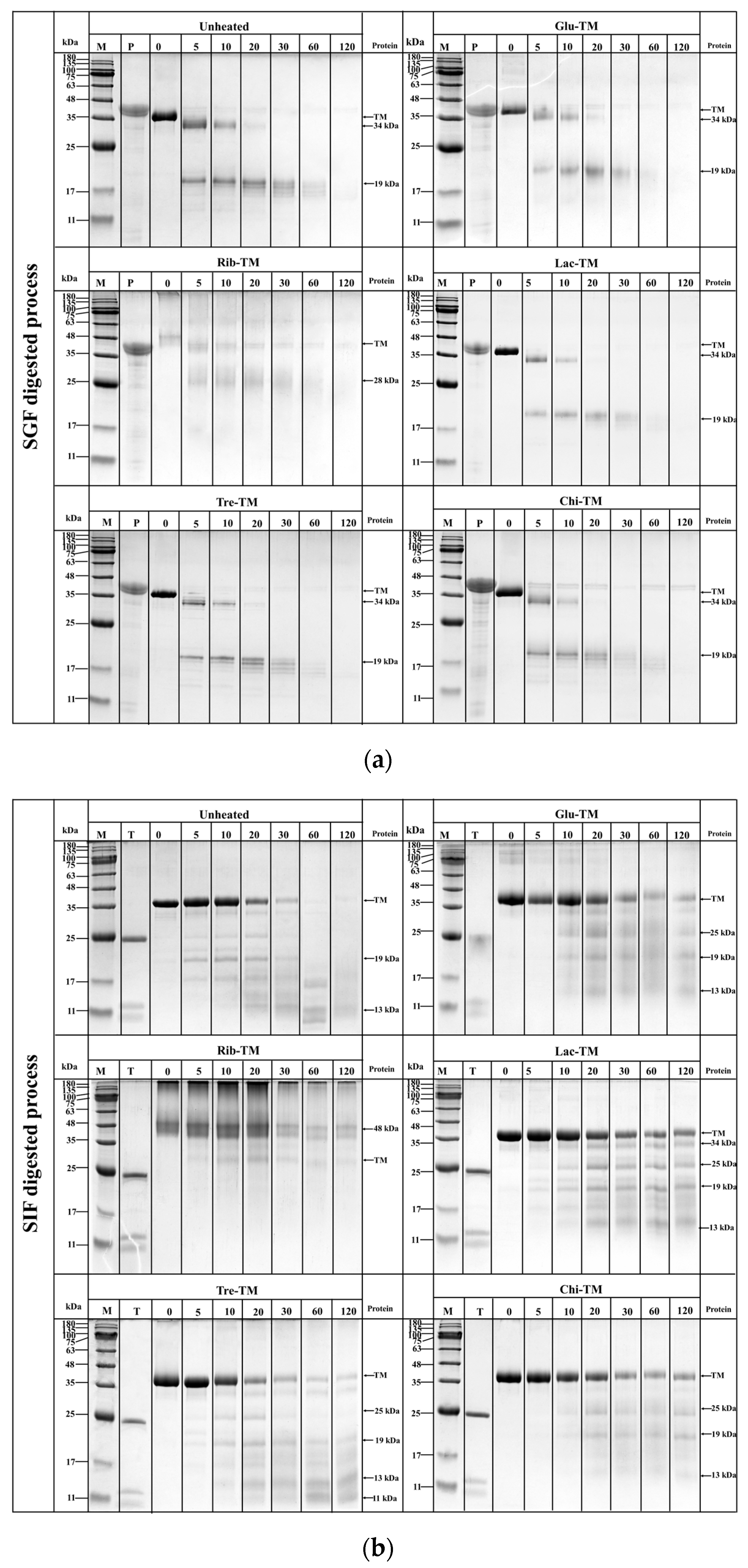 Foods 12 03049 g007a