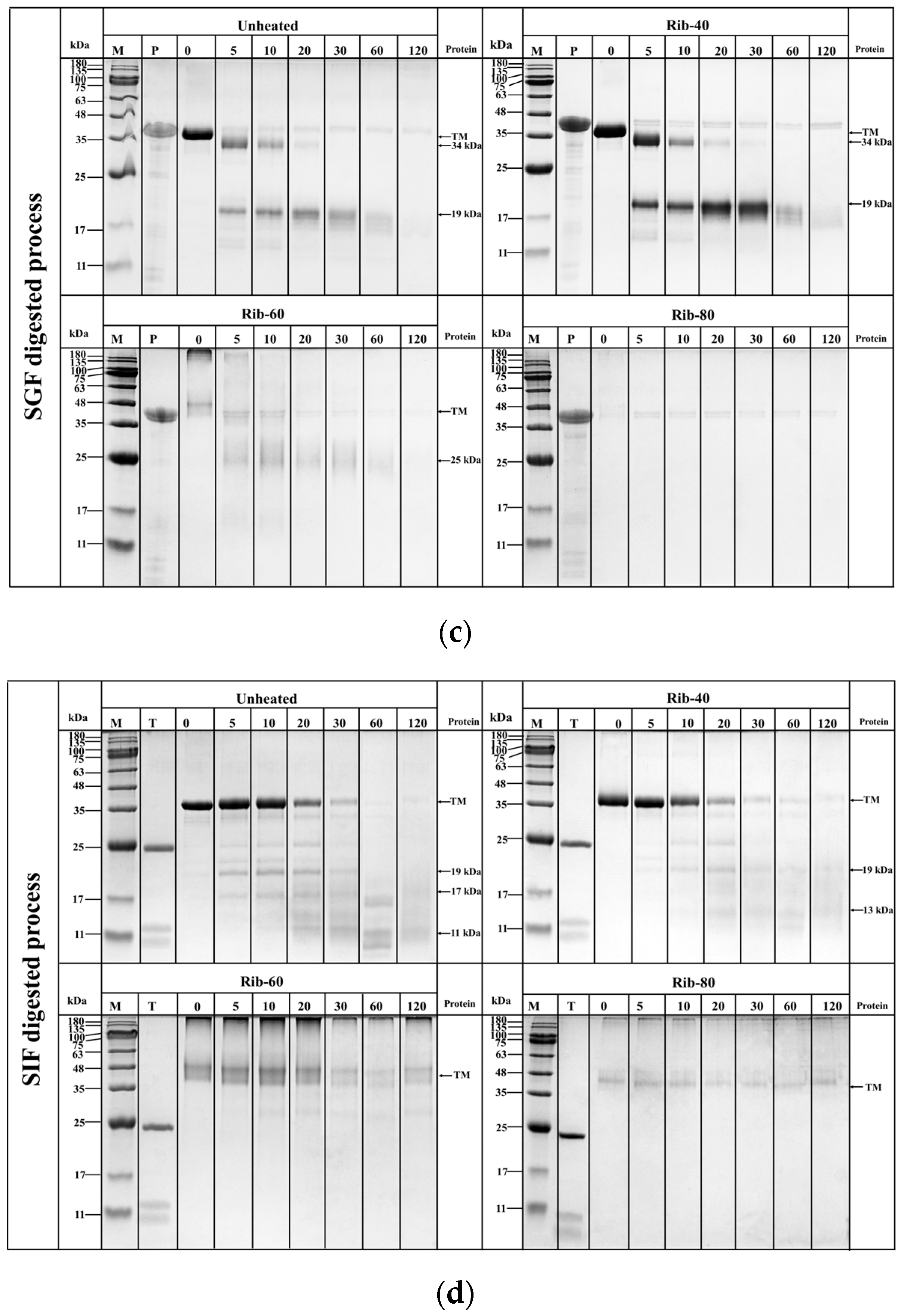 Foods 12 03049 g007b