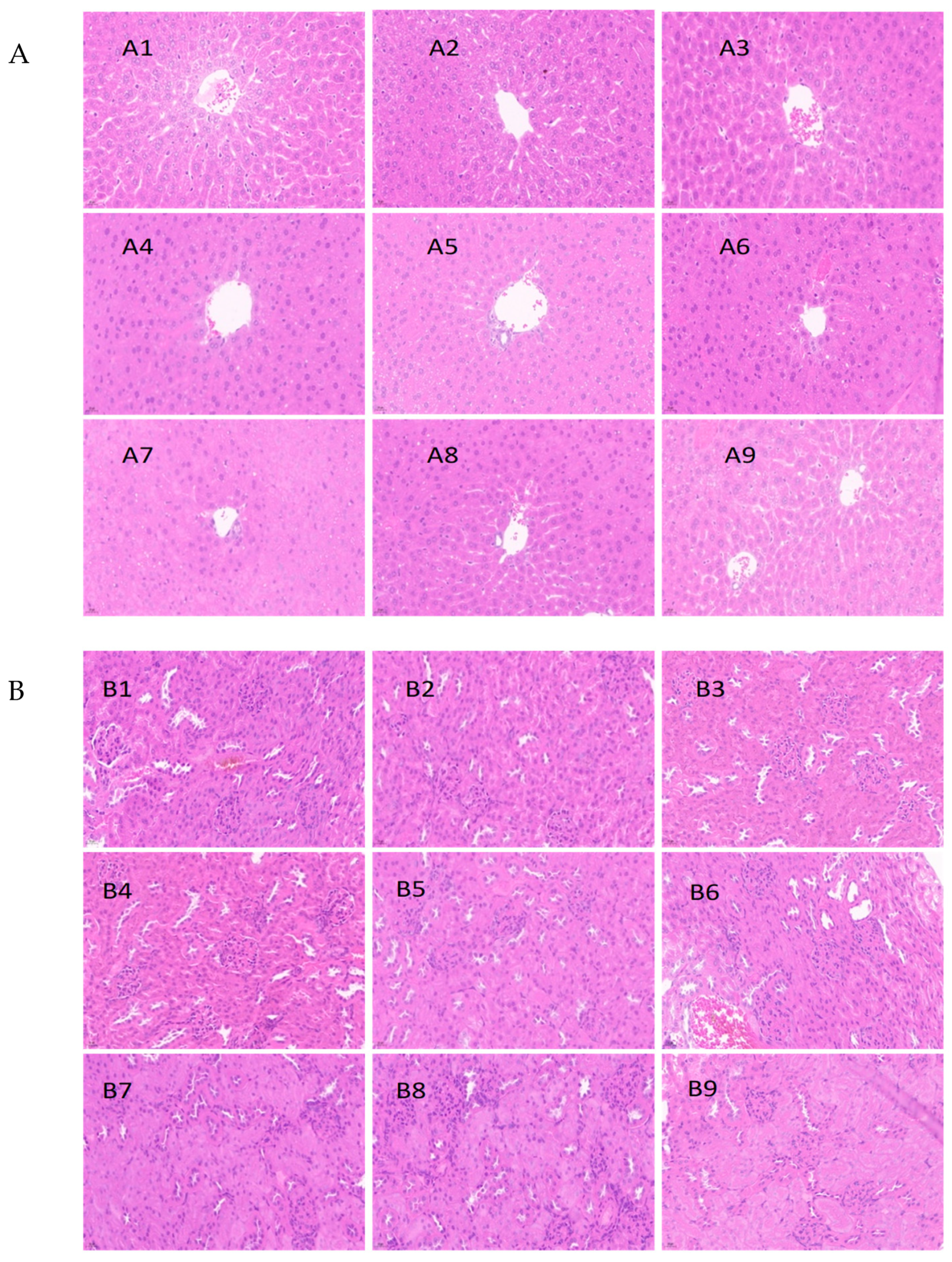 Foods 12 04111 g004a