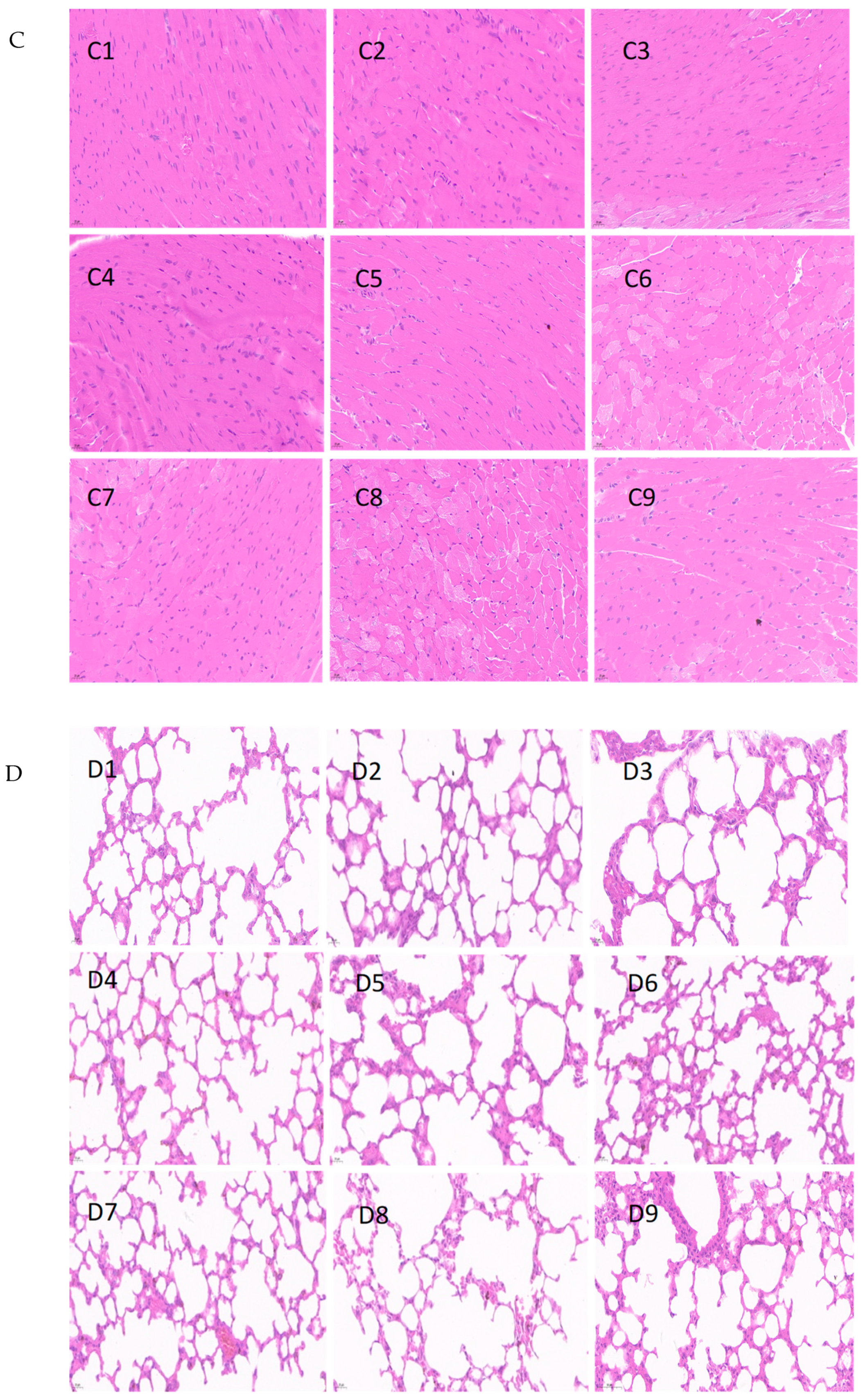 Foods 12 04111 g004b