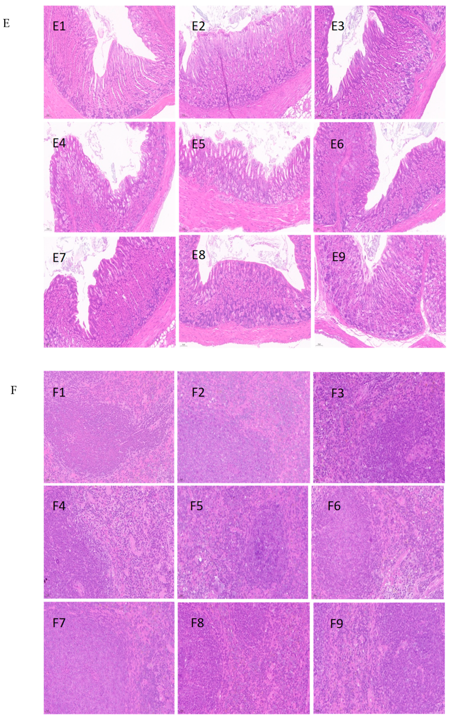 Foods 12 04111 g004c