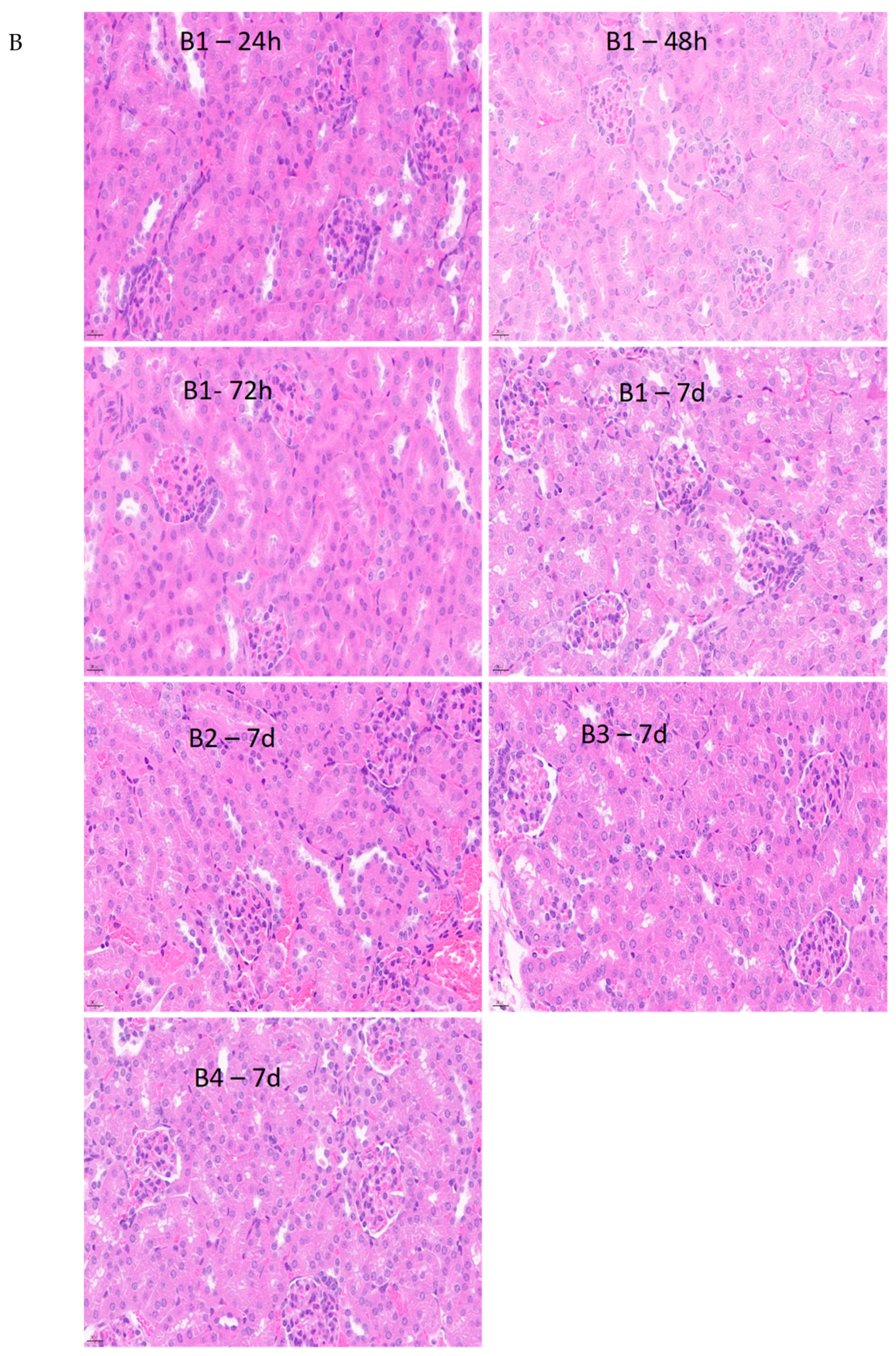 Foods 12 04111 g006b