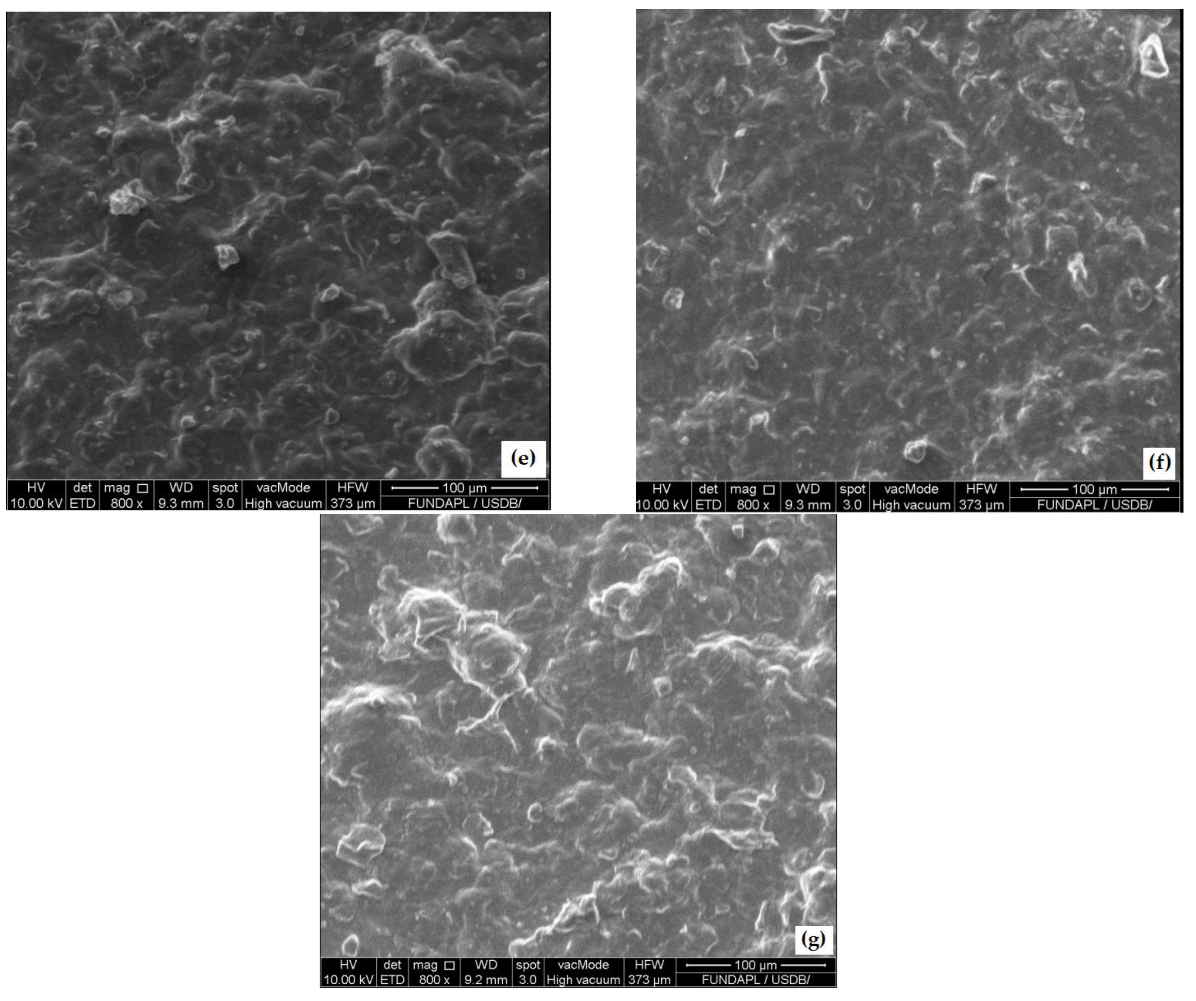 Foods 13 00078 g004b