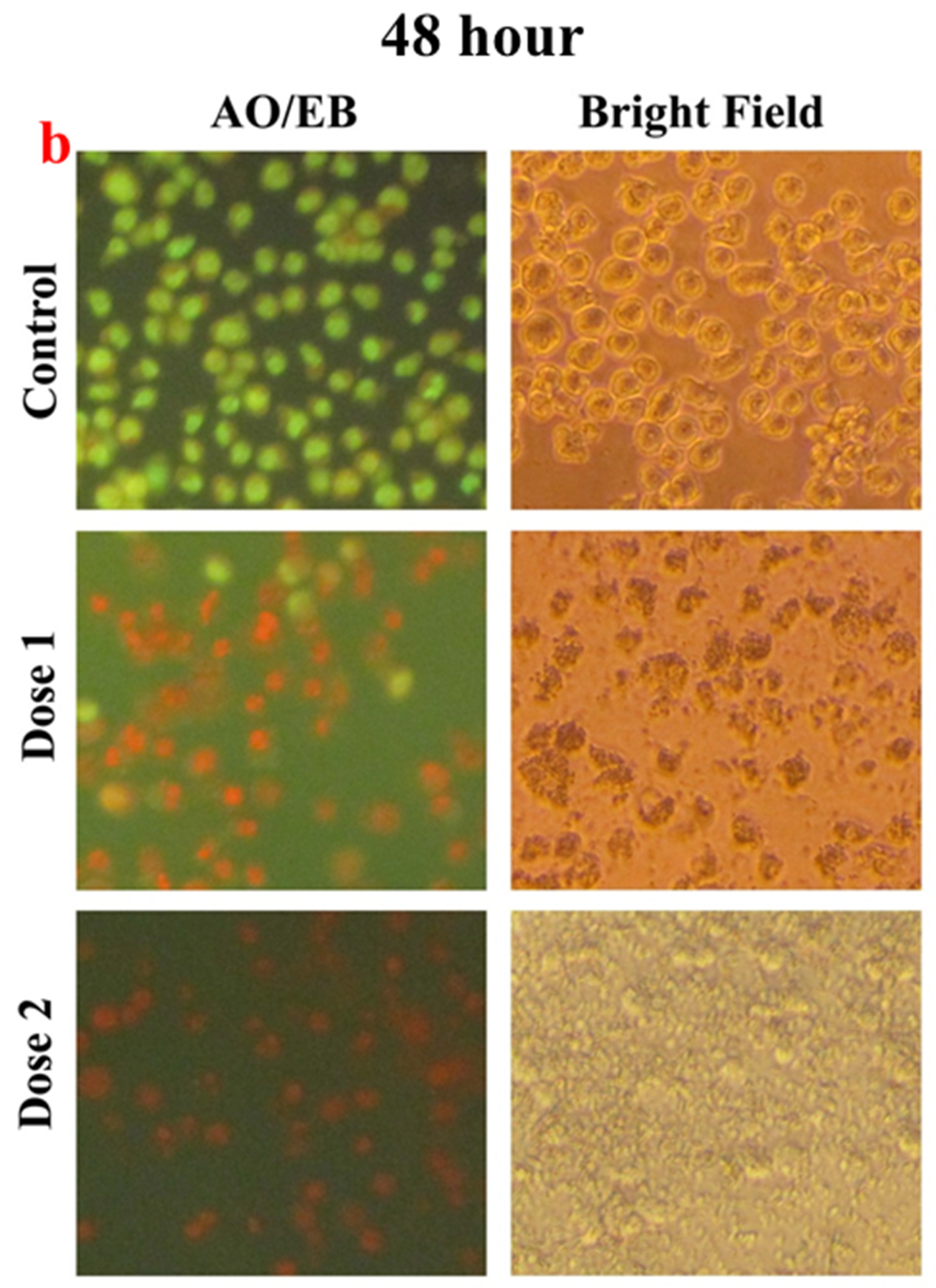 Foods 13 00554 g006b