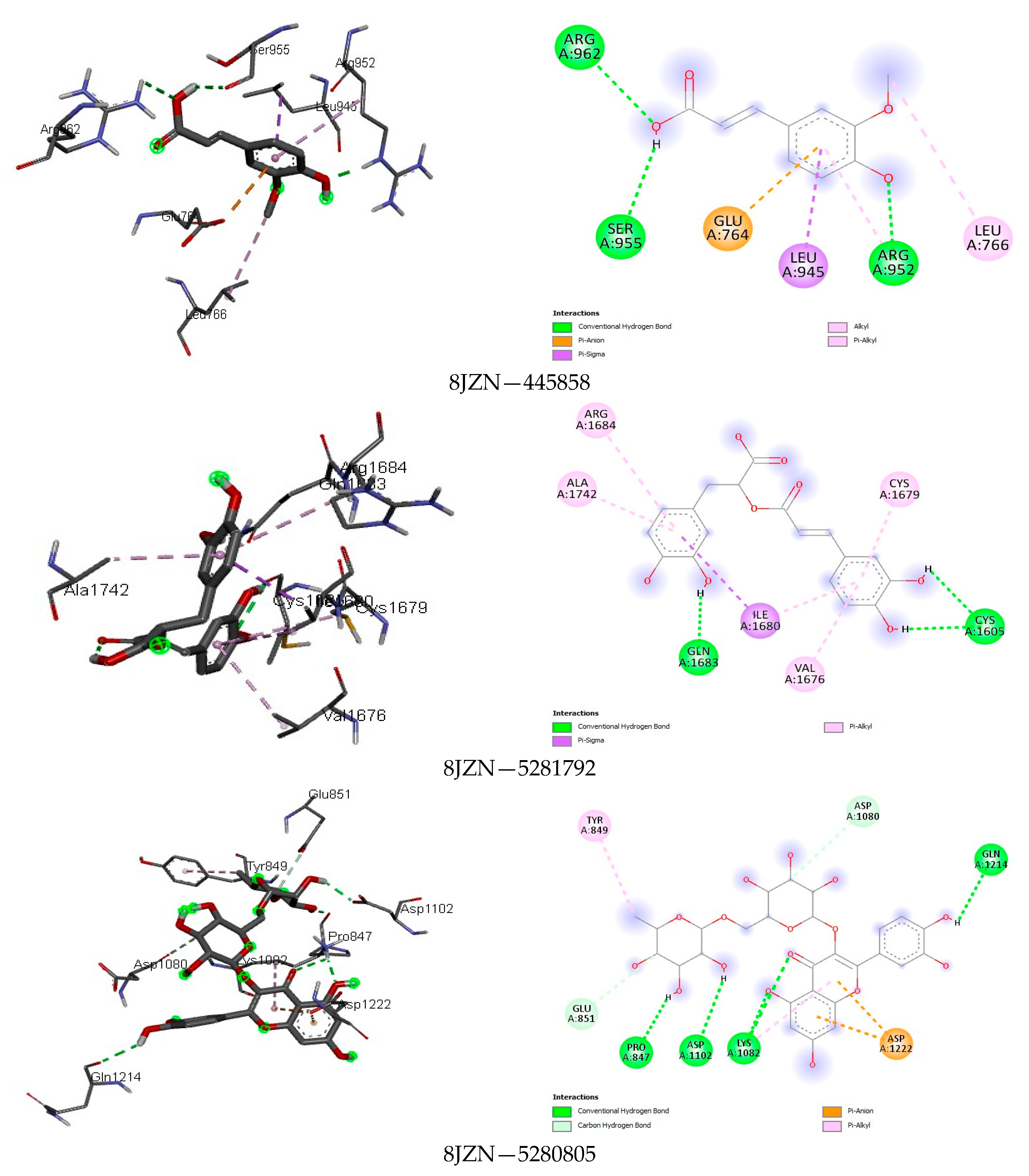 Foods 13 01455 g005b