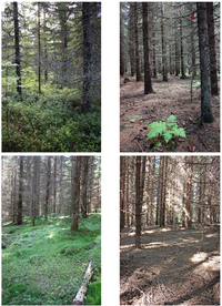 Forests 02 00610f1 200