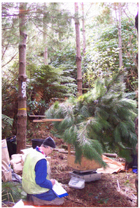 Forests 02 00637f1 200
