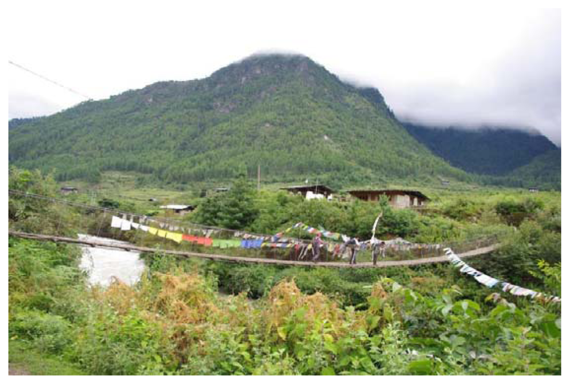 Forests 02 01031f10 1024