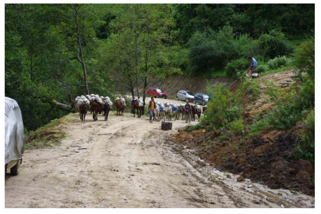 Forests 02 01031f11 1024