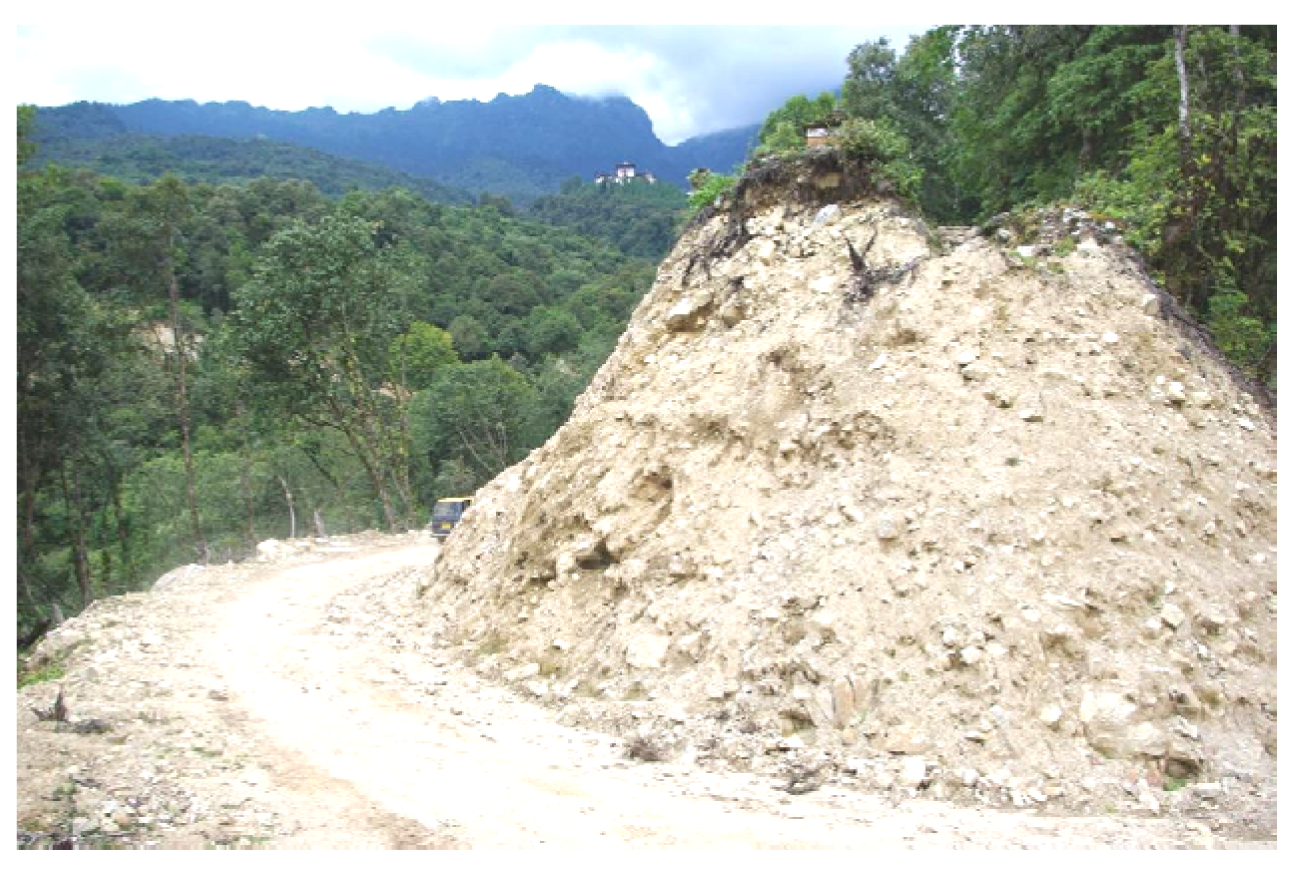 Forests 02 01031f13 1024