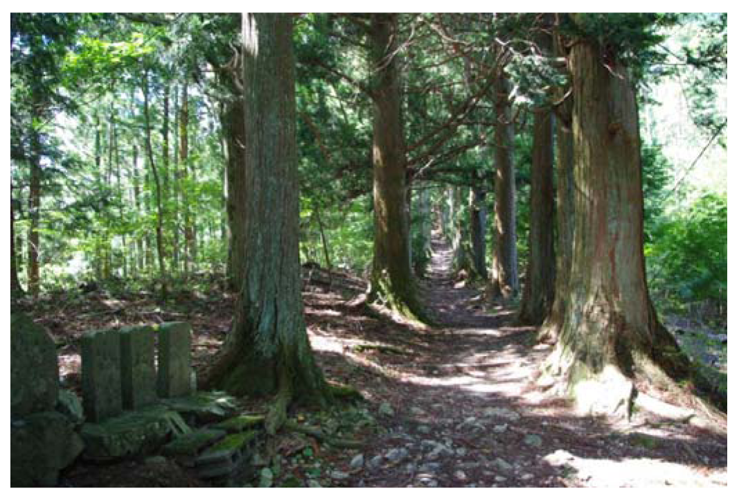 Forests 02 01031f16 1024