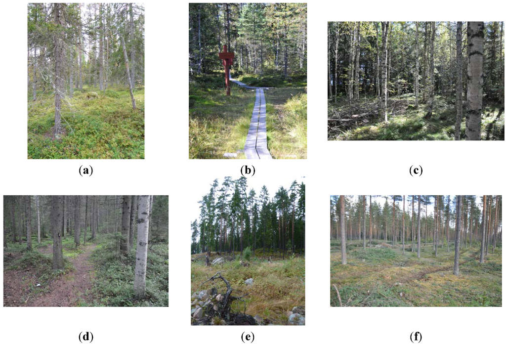 Forests 03 00923 g001 1024