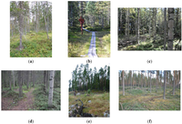 Forests 03 00923 g001 200