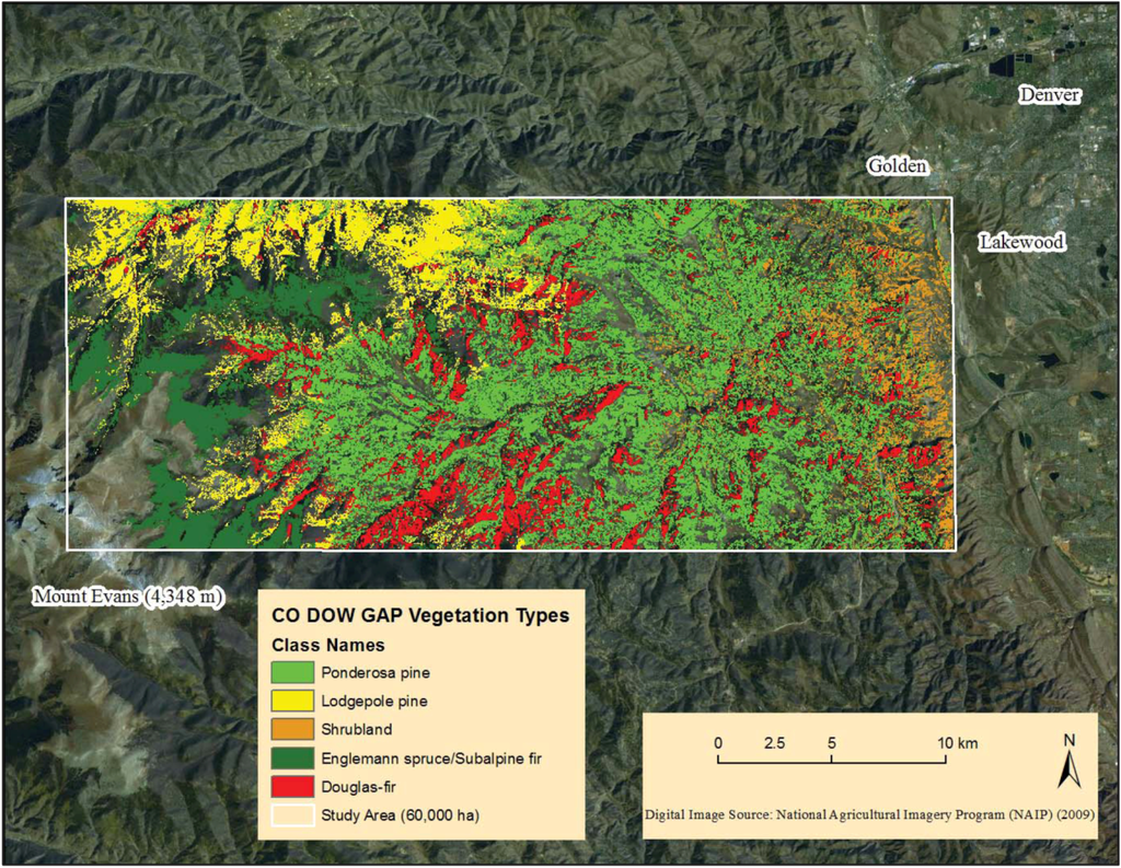 Forests 03 00944 g001 1024