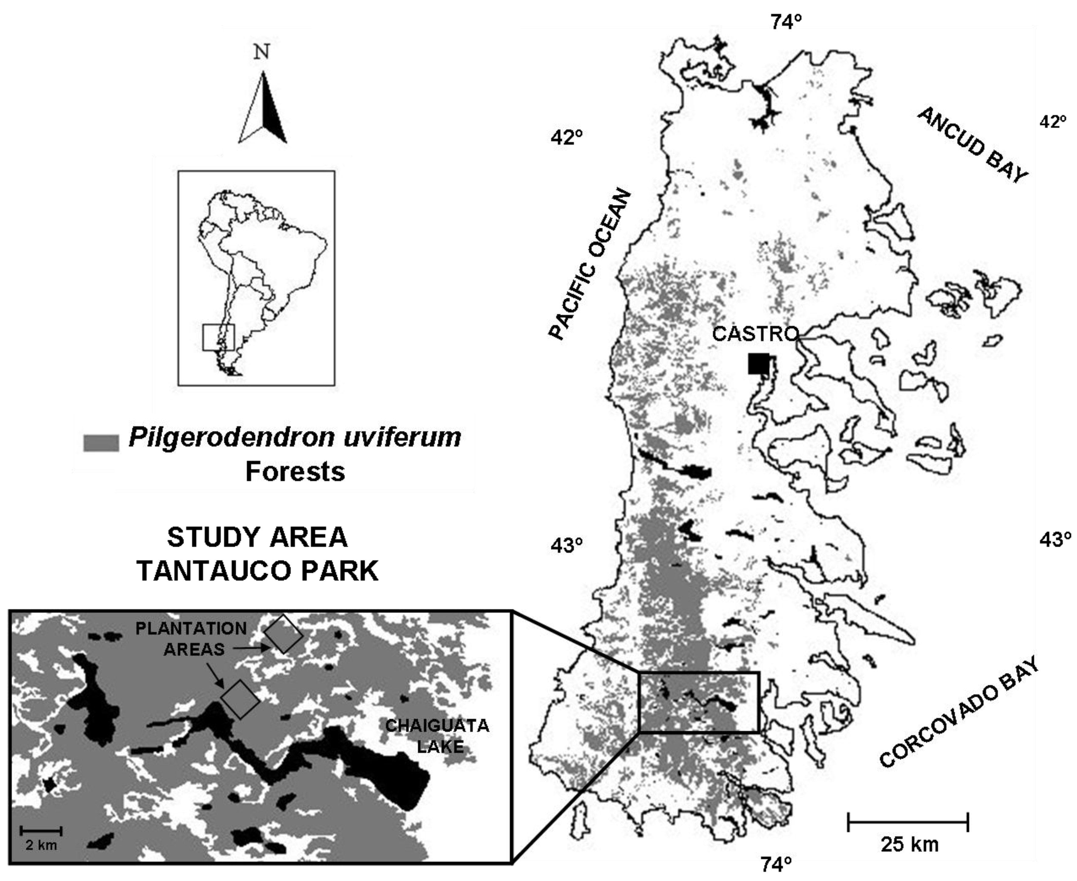 Forests 04 00085 g001