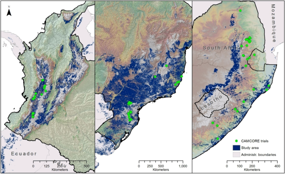 Forests 04 00155 g001 1024