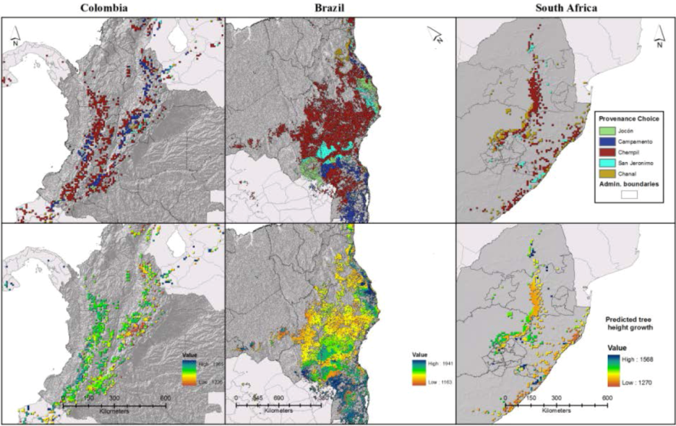 Forests 04 00155 g005 1024