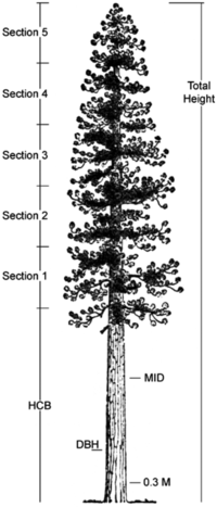 Forests 04 00179 g001 200