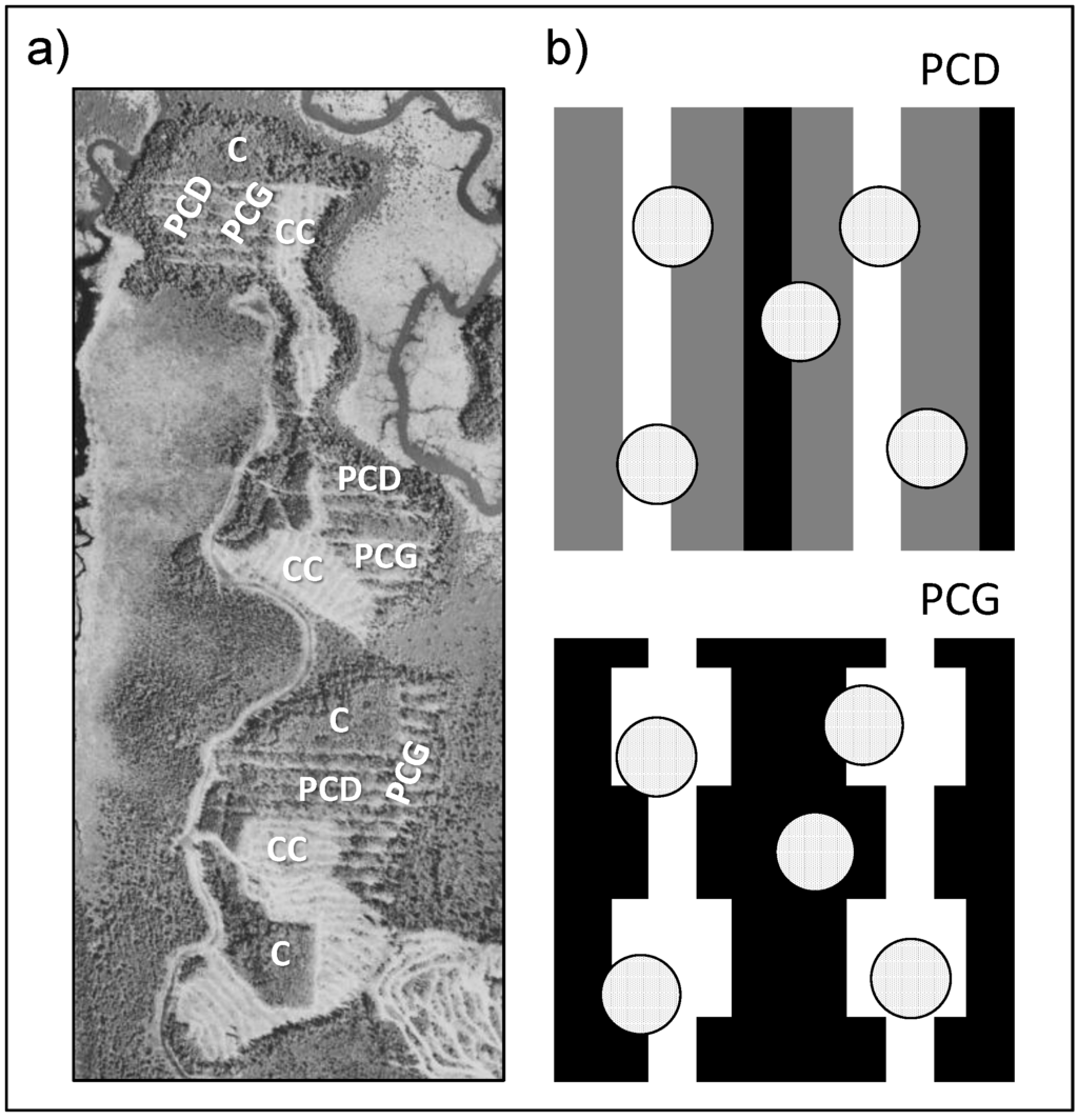 Special Issue : Forest Restoration and Regeneration Biology Diagrams