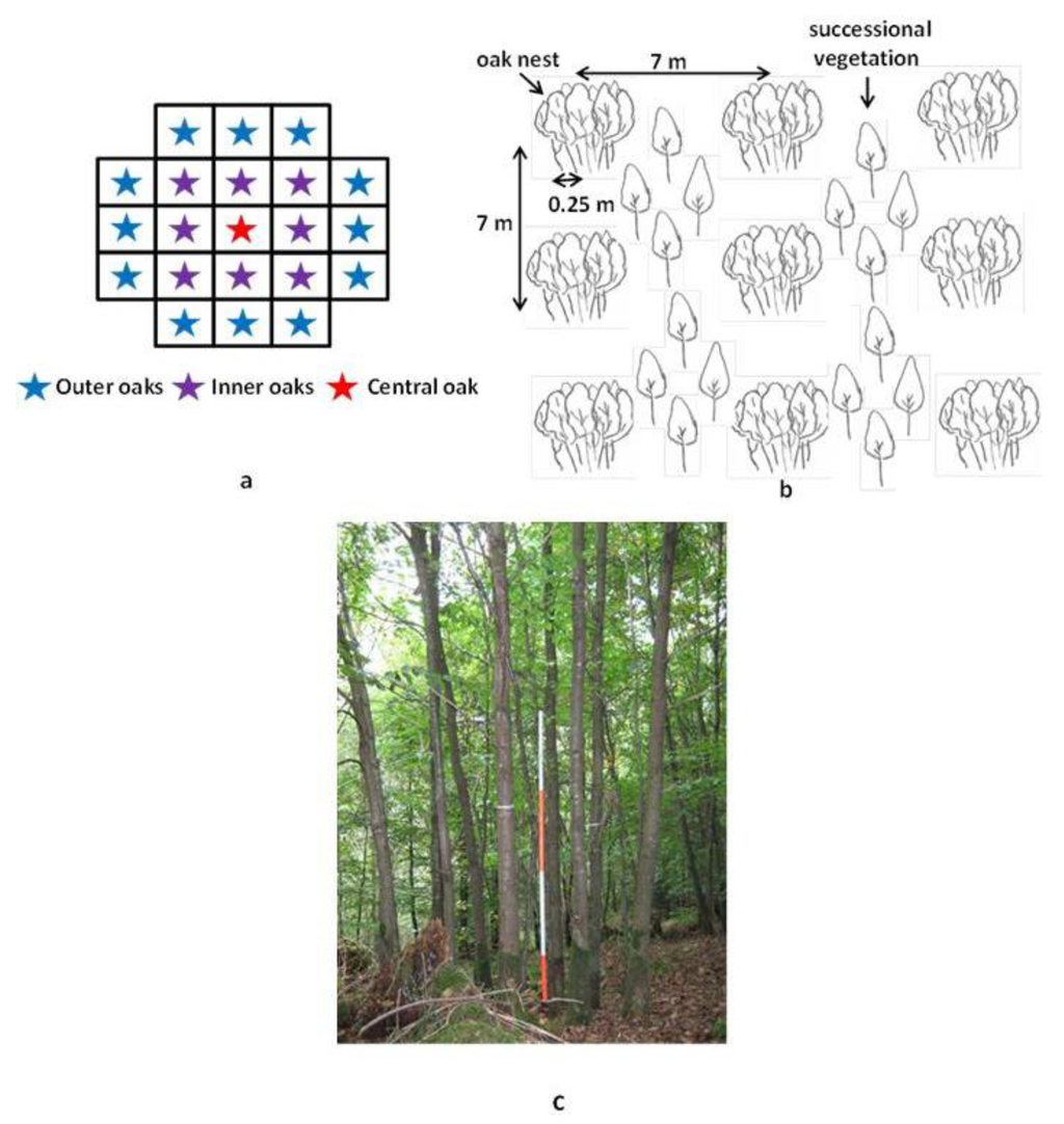 Forests 04 00650 g001 1024