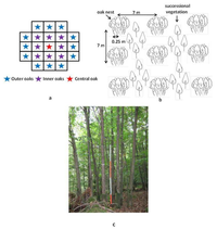Forests 04 00650 g001 200