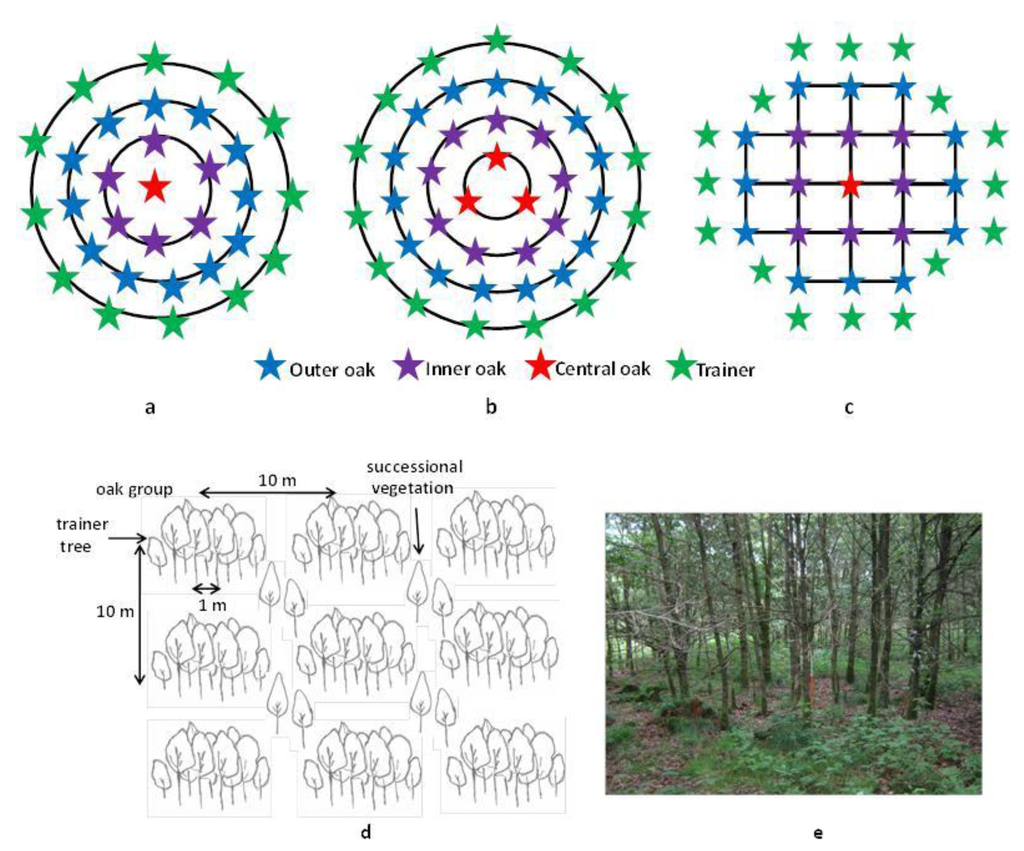 Forests 04 00650 g002 1024