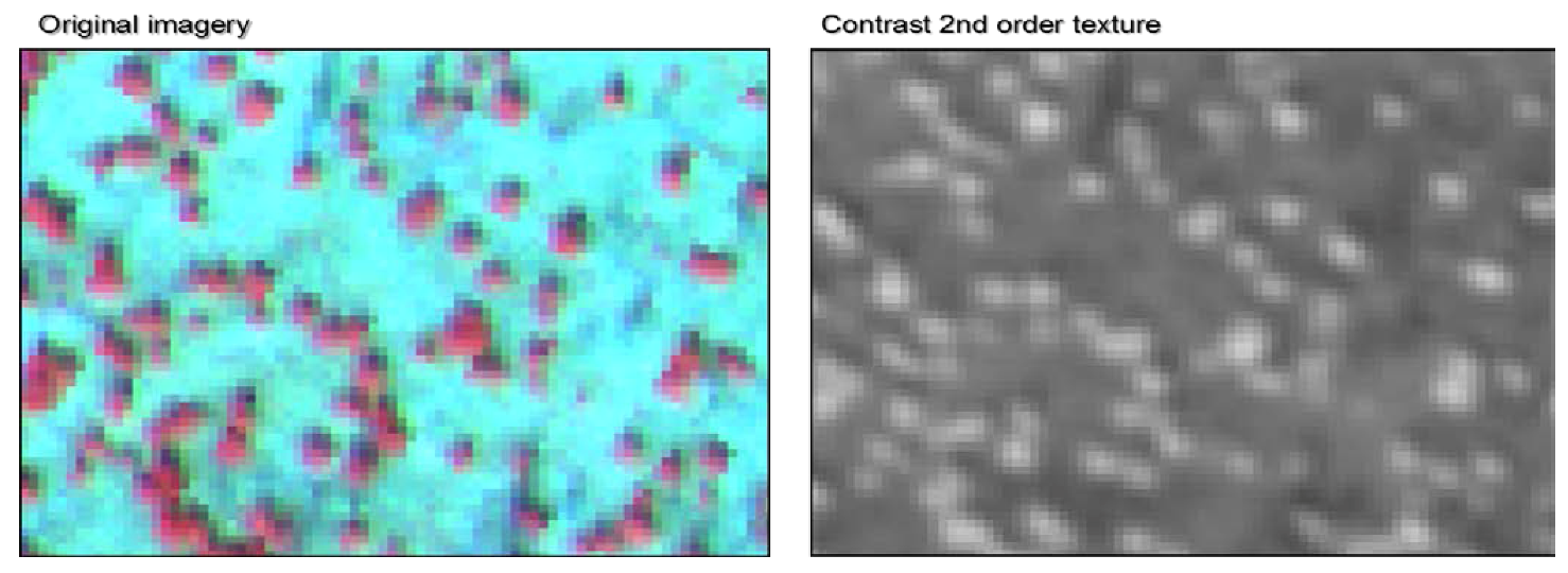 Forests 04 00808 g002